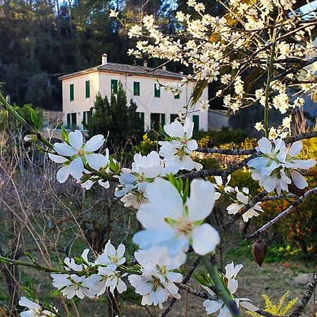 Agroturisme Finca Sa Maniga Bunyola Exteriör bild