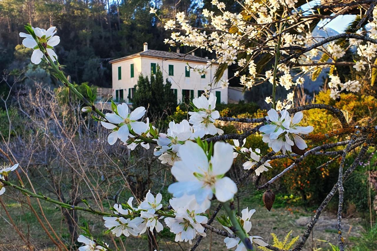 Agroturisme Finca Sa Maniga Bunyola Exteriör bild